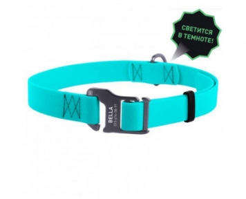 Collar WAUDOG Waterproof нашийник водостійкий, що світиться, пряжка-гачок, ( ш - 25мм, дл - 35-70мм)