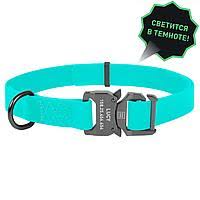 Collar WAUDOG Waterproof нашийник, що світиться, водостійкий, пряжка-фастекс( ш - 25мм, дл - 35-70мм
