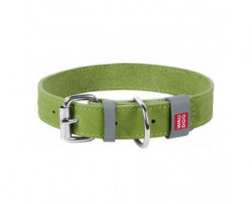 Collar WAUDOG Classic нашийник шкіра, метал. пряжка, XS, (ш - 15мм, дл - 27-36см), салатовий