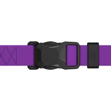  Collar WAUDOG нашийник Magnet водостійкий S ш-15мм дов-26-27 см фіолетовий