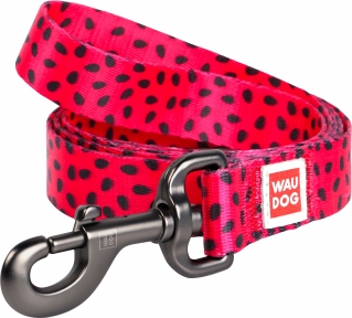  Collar WAUDOG Nylon повідець з малюнком 
