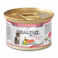 Healthy All days, вологий корм для кошенят, паштет з лососем, 200г