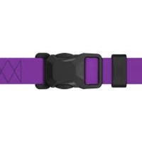  Collar WAUDOG нашийник Magnet водостійкий S ш-15мм дов-26-27 см фіолетовий